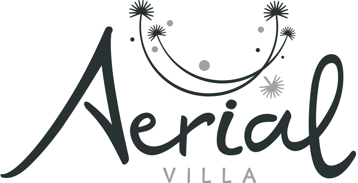 aerial-logo-original-color